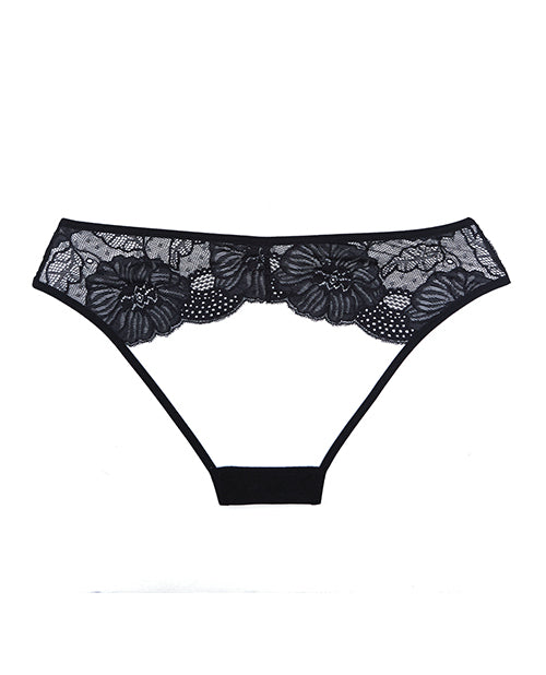 Adore Kiss Mesh & Lace Open Panty - Sensual, Daring, Perfect Fit Product Image.