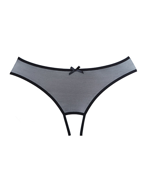 Adore Wild Nite Mesh Open Back Panty Product Image.