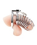 Desire Lock Chastity Cage: Embrace the Enchantment of Control