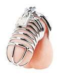 Desire Lock Chastity Cage: Embrace the Enchantment of Control