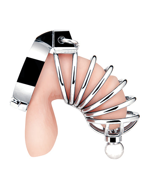 Blue Line Silver Urethral Cage - A Journey into Sensual Exploration Product Image.