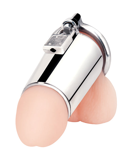 Silver Ultimate Cock Tease Cage by Blue Line Product Image.