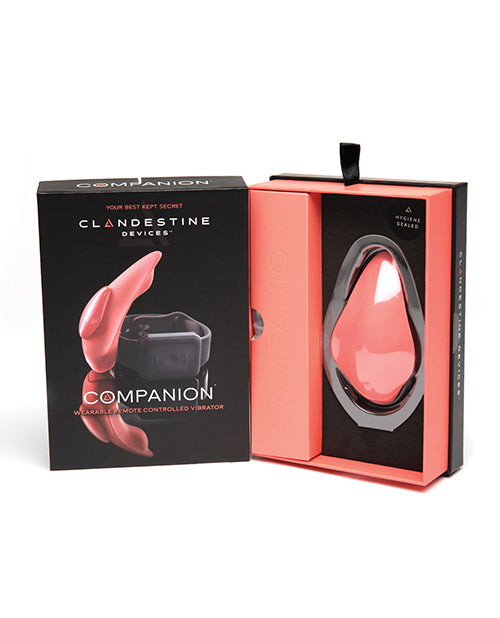 Clandestine Devices Coral Panty Vibe: Whisper Quiet Pleasure Product Image.