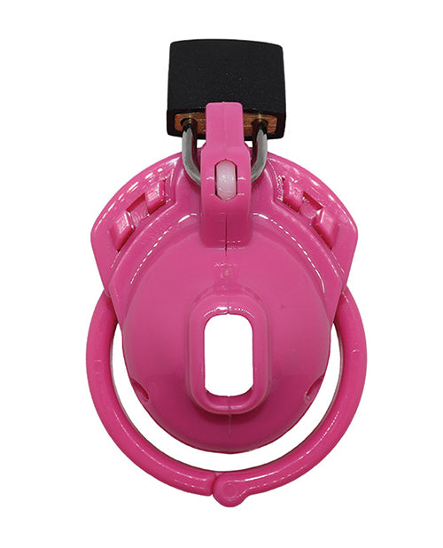 The Vice Clitty: Jaula de castidad rosa ultrapequeña: un viaje hacia la rendición Product Image.