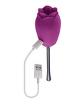 Playboy Pleasure Petal Vibrator - Wild Aster: The Ultimate Sensual Companion