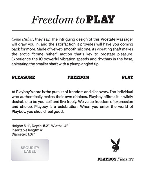 Masajeador de próstata Playboy Pleasure: un viaje hacia una felicidad incomparable Product Image.