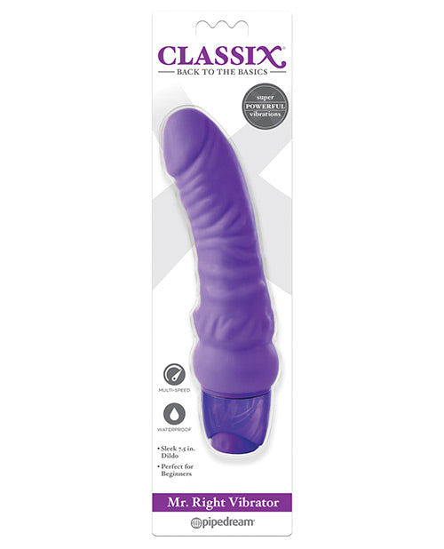 Classix Mr Right Vibrator: Ultimate Pleasure Awaits 🌟 Product Image.