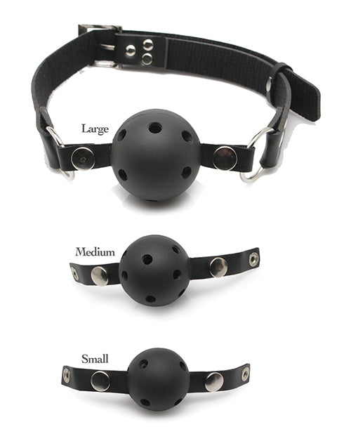 "Master Submission: Ball Gag Training Kit" Product Image.
