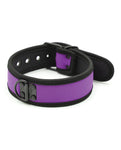 Collar de neopreno para cachorros Pleasure - Púrpura vibrante 🐾