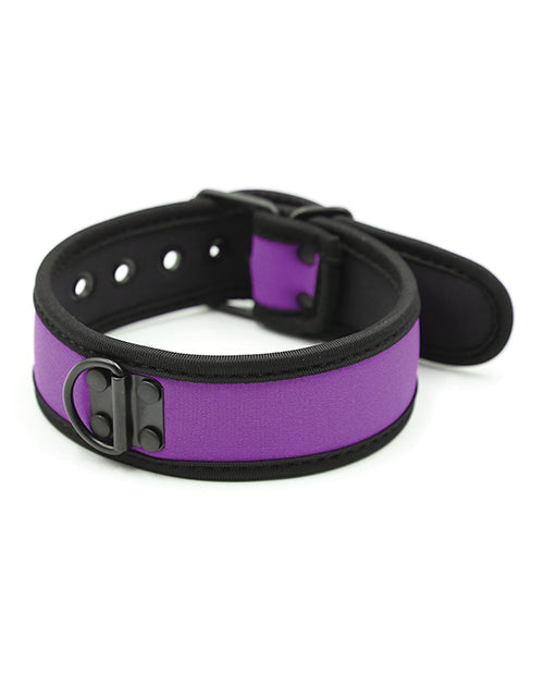 Collar de neopreno para cachorros Pleasure - Púrpura vibrante 🐾 Product Image.
