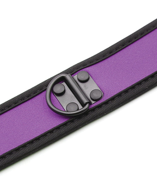 Collar de neopreno para cachorros Pleasure - Púrpura vibrante 🐾 Product Image.