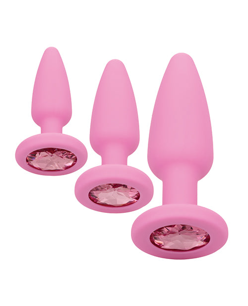 First Time Crystal Booty Kit: A Luxurious Introduction to Anal Pleasure Product Image.