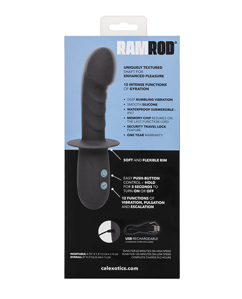 Ramrod® Gyrating: 12 Functions of Pure Pleasure Product Image.