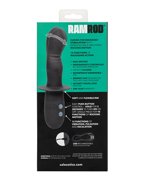 Ramrod® 搖擺：12 功能雙電機遊樂玩具 Product Image.