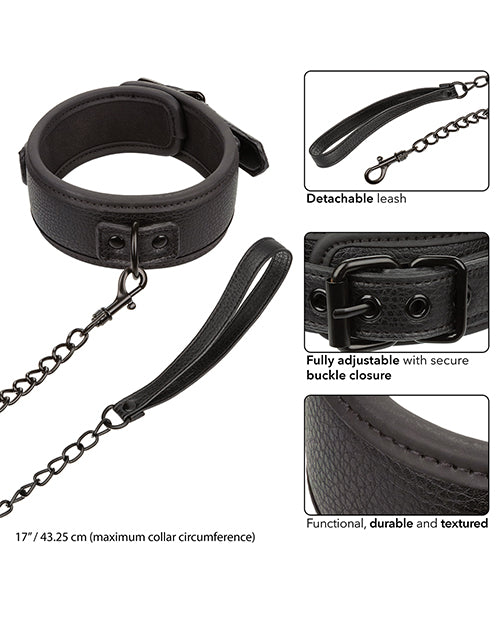 Nocturnal Collection Detachable Collar & Leash - Black Product Image.