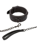 Nocturnal Collection Detachable Collar & Leash - Black