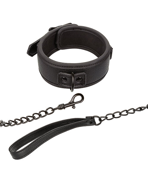 Nocturnal Collection Detachable Collar & Leash - Black Product Image.