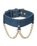 Ride 'Em Premium Denim Collar & Leash Kit