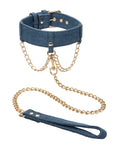 Ride 'Em Premium Denim Collar & Leash Kit