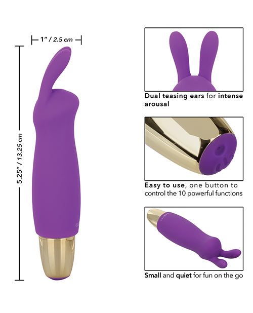 Slay #BuzzMe - Mini masajeador de conejo morado: tu compañero de placer de bolsillo Product Image.