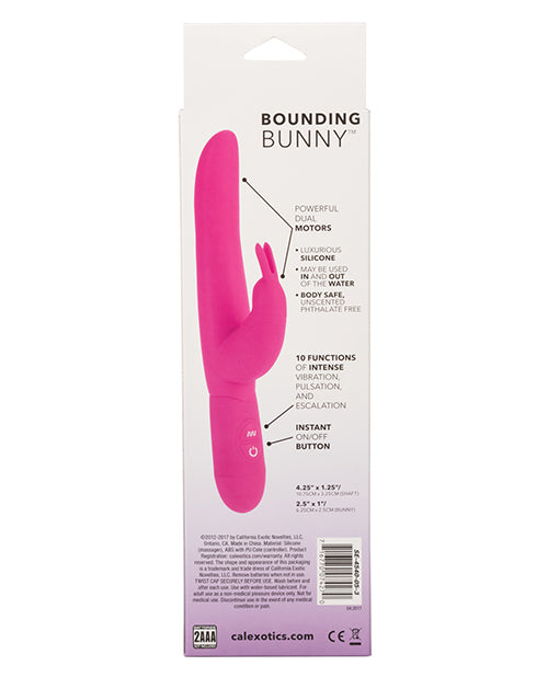 Posh 10 Function Bounding Bunny: The Ultimate Dual Stimulation Toy Product Image.