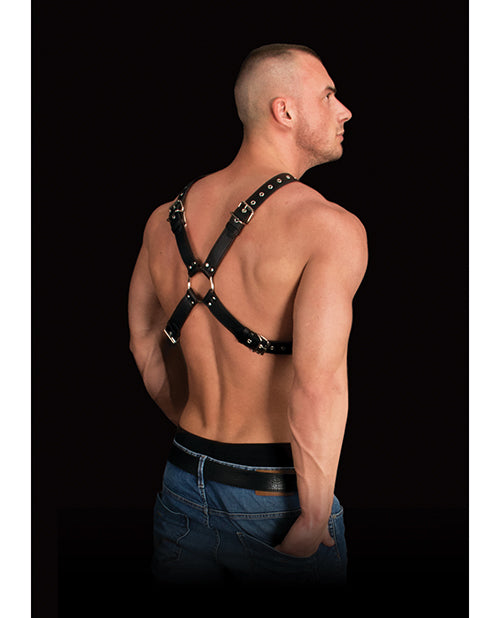 Shots Ouch Adonis Black Leather Harness Product Image.