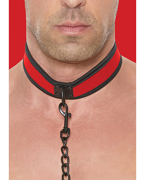 Shots Ouch Puppy Play Collar & Leash Set Product Image.