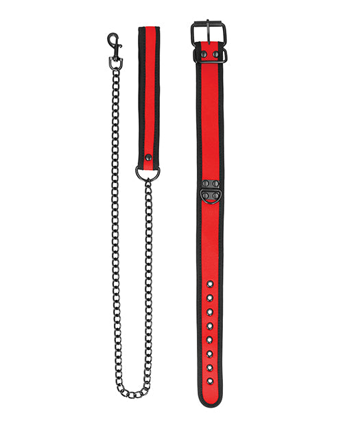 Shots Ouch Puppy Play Collar & Leash Set Product Image.