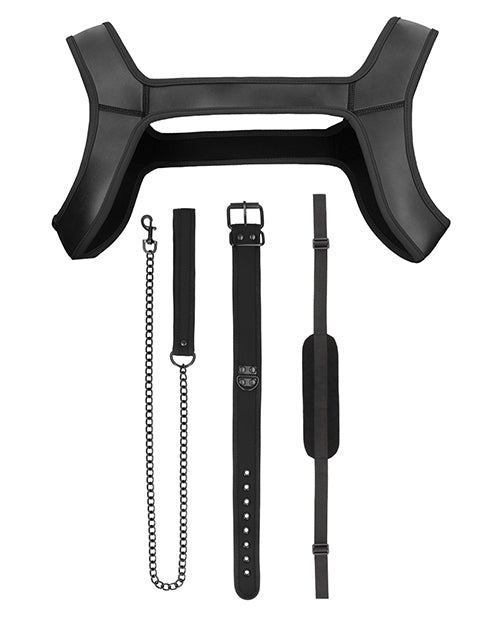 Shots Ouch Puppy Play Kit in Black: Unleash Your Imagination Product Image.