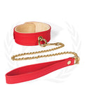 Spartacus Plush Lined Collar & Chained Leash - A Symphony of Comfort and Style