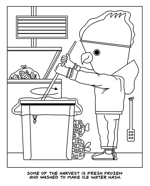 Whispers of Nature: A Visit to the Cannabis Farm Colouring Book by Wood Rocket Product Image.