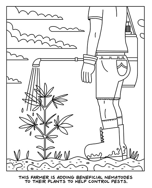 Whispers of Nature: A Visit to the Cannabis Farm Colouring Book by Wood Rocket Product Image.