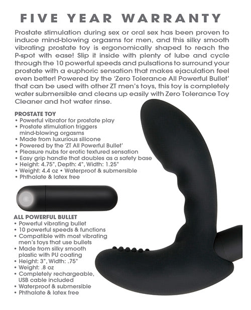 Zero Tolerance Eternal P Spot Prostate Massager Product Image.