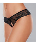 Adore Foreplay Lace & Mesh Front Open Panty - Black O/S