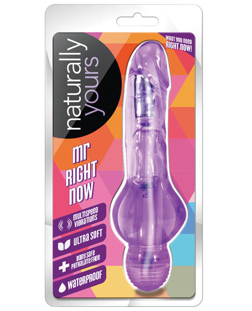 Blush Mr. Right Now: Ultimate Pleasure Vibrator