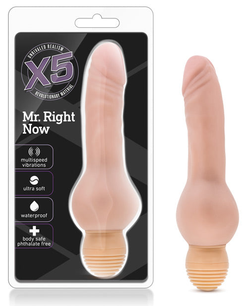 Blush X5 Mr Right Now Flexishaft Vibrator in Beige - featured product image.