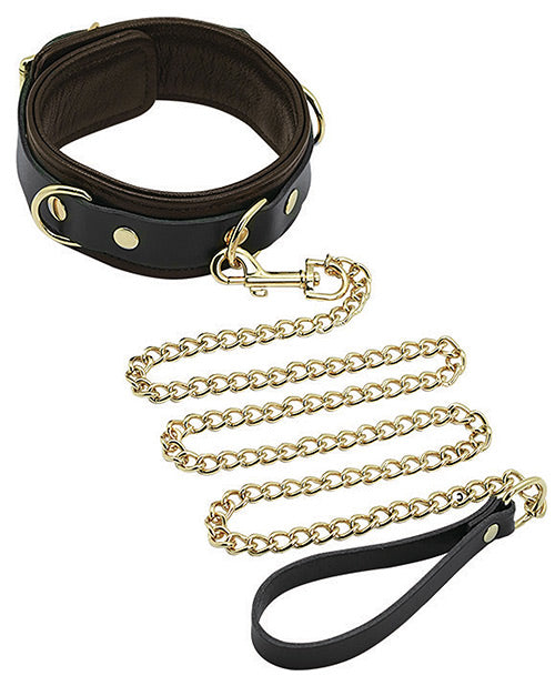Luxurious Brown Leather Pet Collar & Leash Set 🐾 - featured product image.