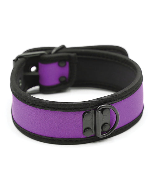 Pleasure Neoprene Puppy Collar - Vibrant Purple 🐾 Product Image.