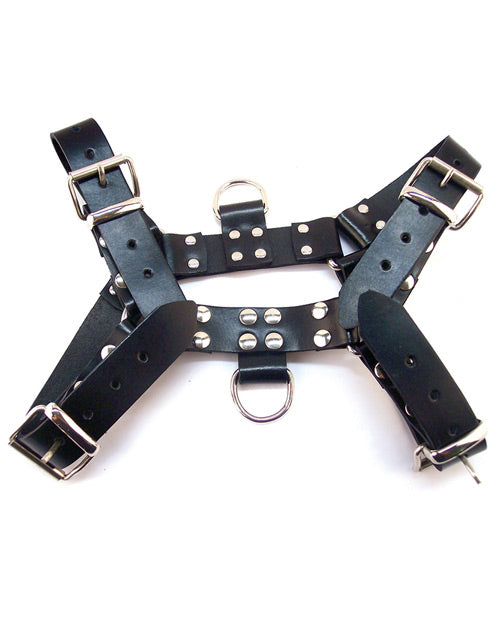 Studded Leather Harness by Rouge: Fashion meets utility - featured product image.