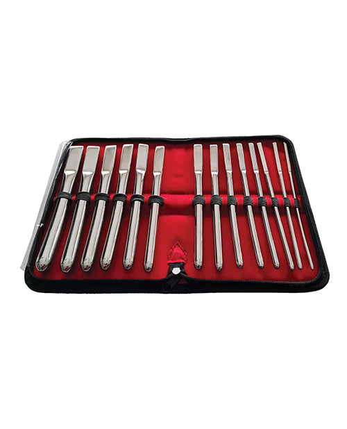 Shop for the Rouge 14-Piece Stainless Steel Hegar Uterine Dilator Set at My Ruby Lips