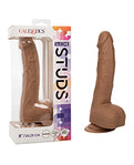 Brown Delight Silicone Studs 8" Dildo