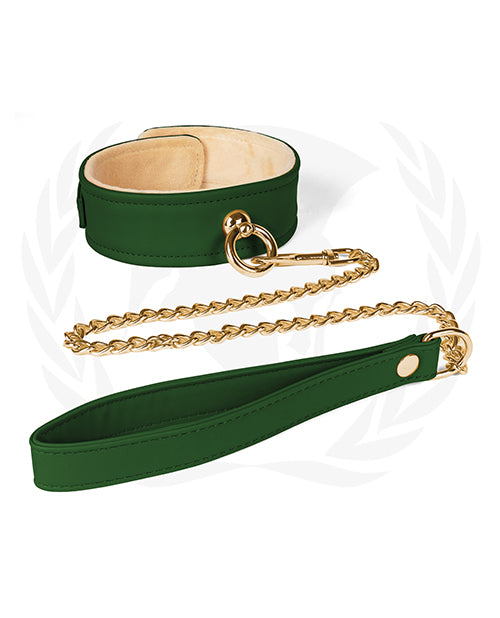 Spartacus Plush Lined Collar & Chained Leash - A Symphony of Comfort and Style Product Image.