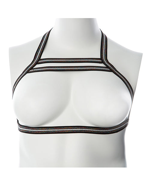 Gender Fluid Silver Lining Harness Product Image.